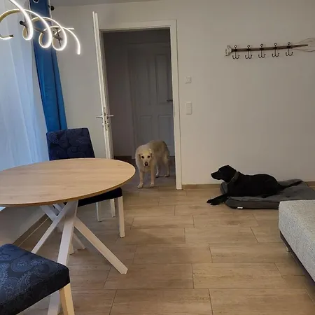 アパート Lanckensburg Fewo2 - Sylvia *