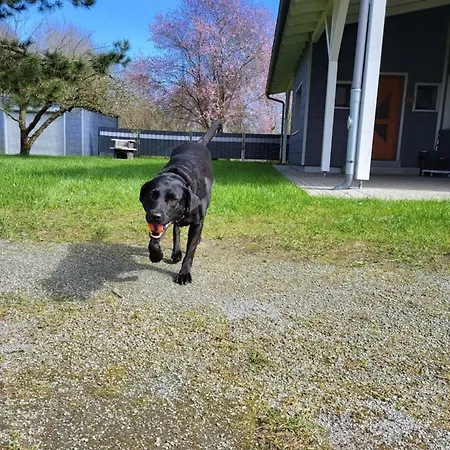 Lanckensburg Fewo2 - Sylvia アパート