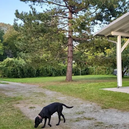 Lanckensburg Fewo2 - Sylvia アルテンキルヒェン