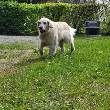 Lanckensburg Fewo2 - Sylvia アパート *